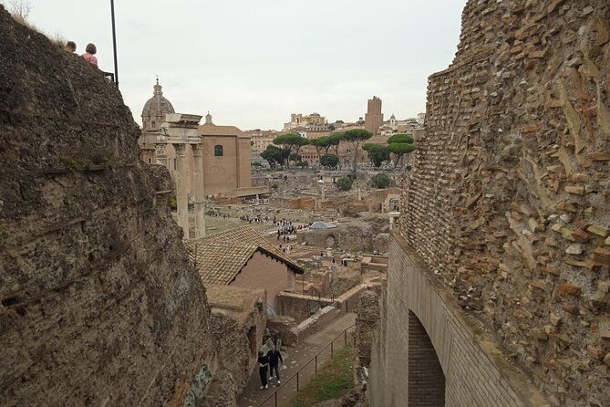 domus-tiberiana-and-the-ruins-of-ancient-rome-guided-tour