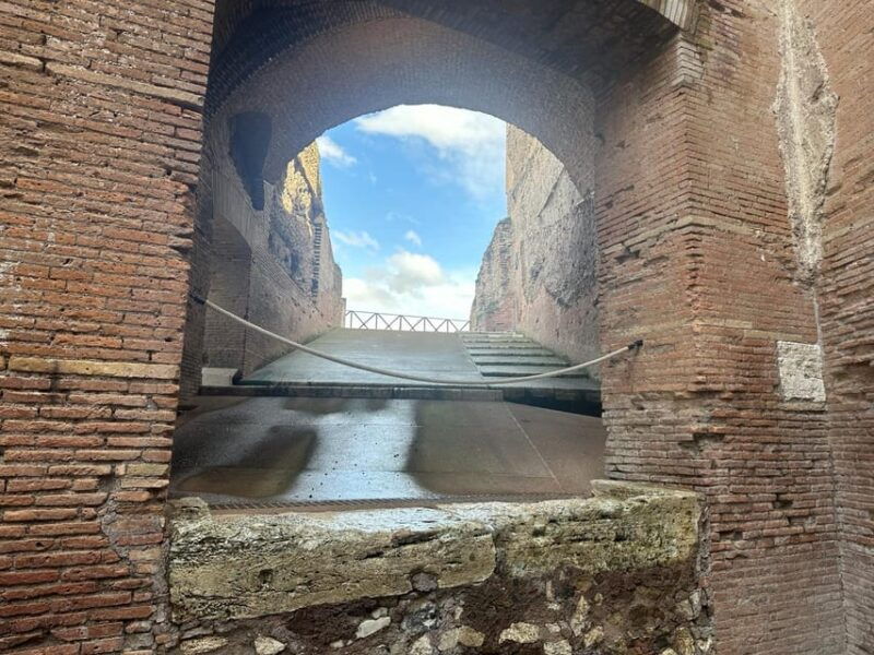 domus-tiberiana-roman-forum-and-palatine-hill-tour