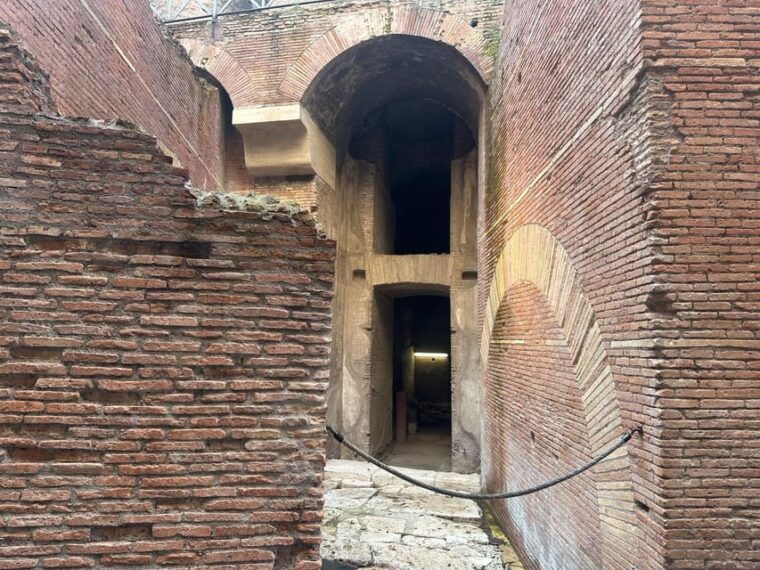 domus-tiberiana-roman-forum-and-palatine-hill-tour
