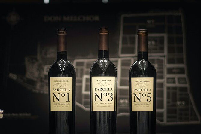 don-melchor-premium-wine-tour