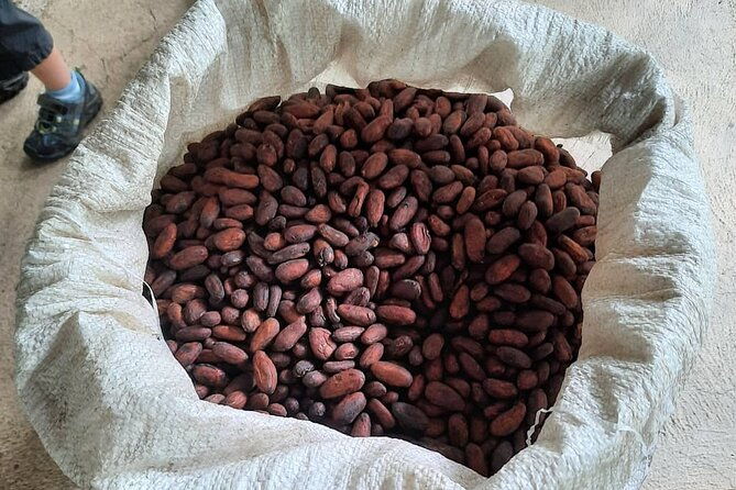 don-olivo-chocolate-tour