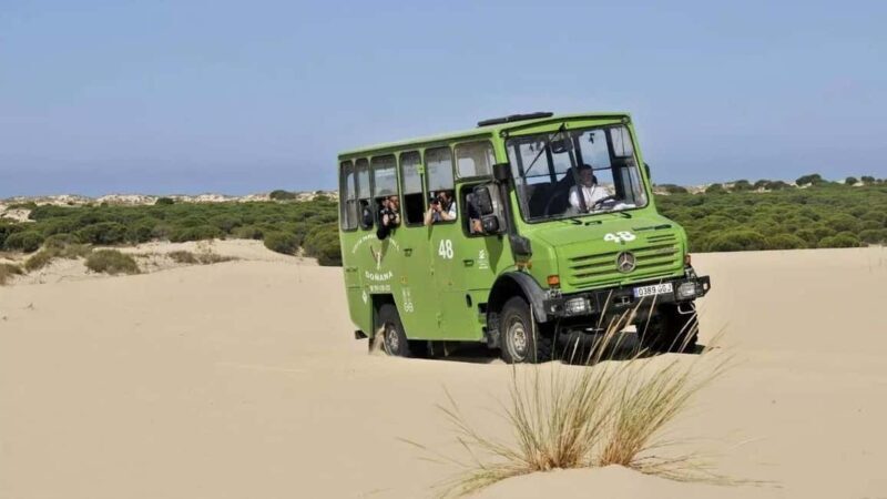 Doñana: 4x4 tour of the national park and beaches - What to Expect from the Doñana 4x4 Tour