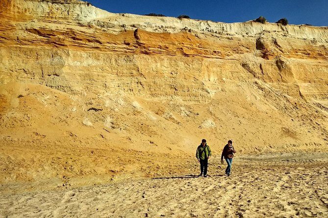 Donana National Park and El Rocío: Guided Tour from Seville - Who Would Love This Tour?