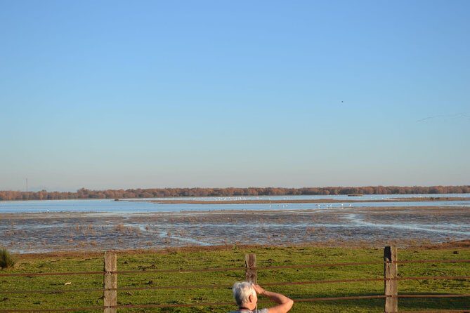 Donana National Park and El Rocío: Guided Tour from Seville - FAQs