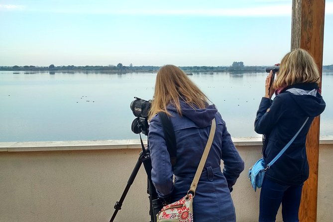 donana-national-park-and-el-rocio-private-tour-from-seville