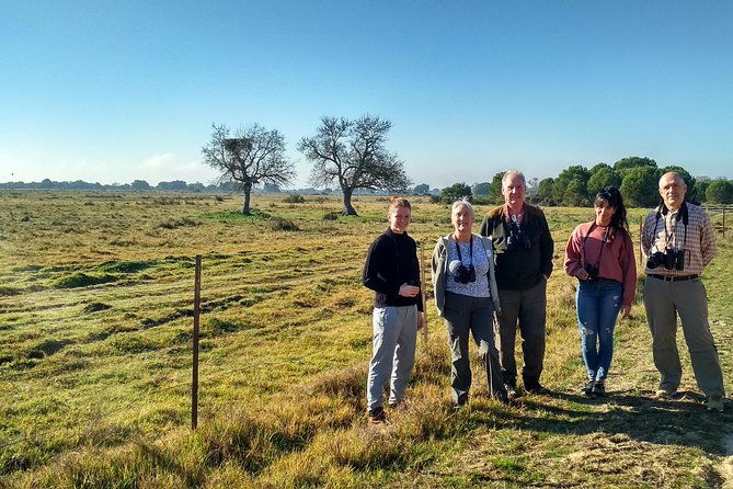 donana-national-park-guided-day-tour-from-seville