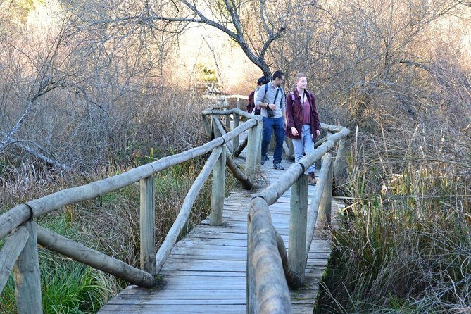 donana-national-park-guided-day-tour-from-seville