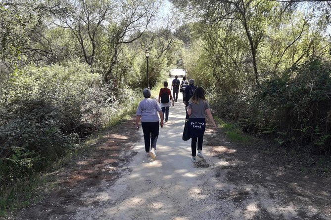 donana-national-park-in-4x4-and-el-rocio-2