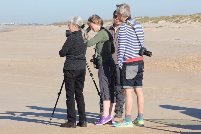 donana-national-park-matalascanas-guided-tour-from-seville