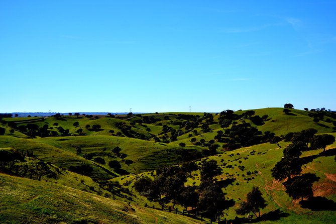 donana-natural-park-full-day-tour-from-seville