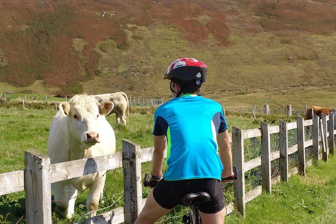 Donegal Coast One Day Self-Guided E-Bike Tour - Why This Tour Stands Out