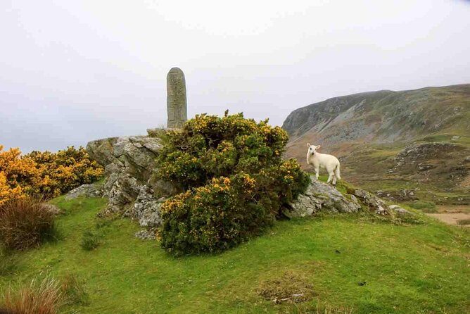 Donegal Coast One Day Self-Guided E-Bike Tour - FAQ