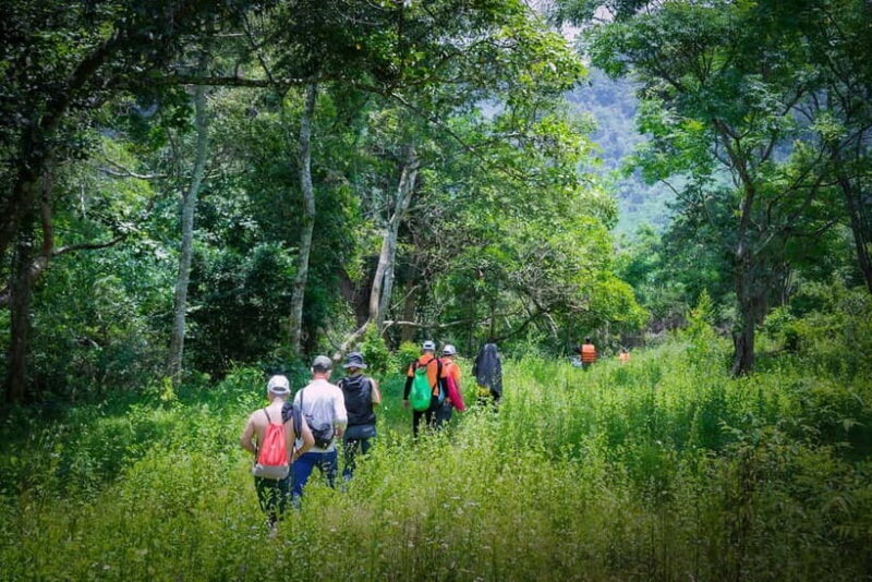 Dong Hoi: Paradise Cave & Phong Nha Botanical Garden Trek - An In-Depth Look at the Tour Experience