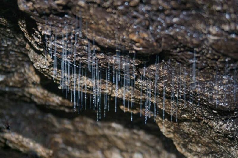 Dong Hoi: Paradise Cave & Phong Nha Cave Full-Day Tour - Discovering the Caves and Beyond