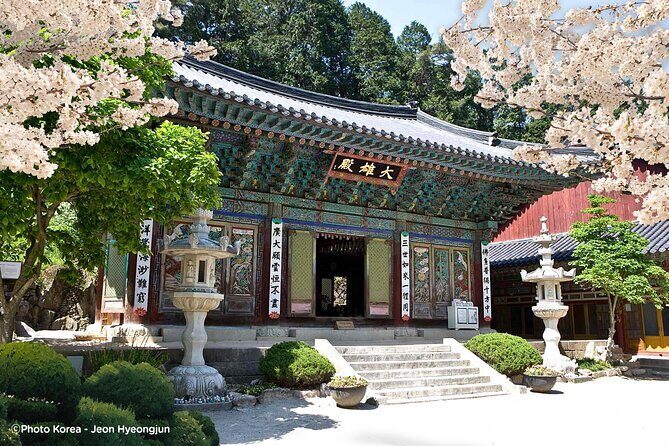 Donghaksa Temple Cherry Blossom and Jeonju Hanok Village - Key Points