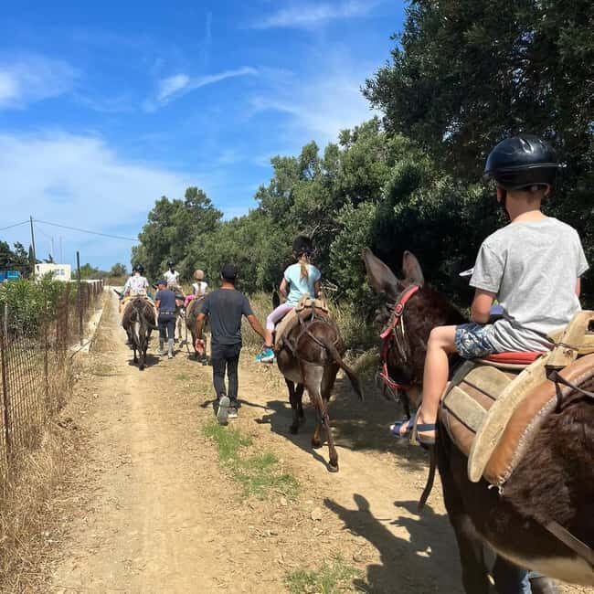 Donkey Ride - Cretan Country - Key Points