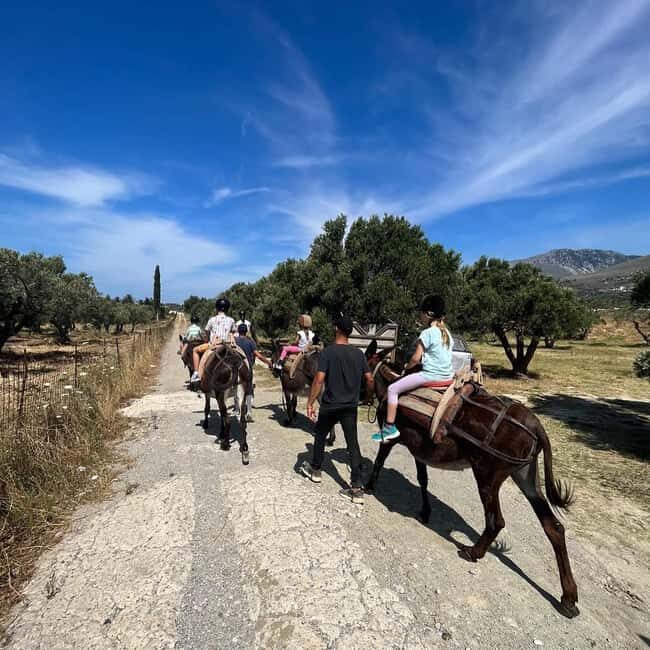 Donkey Ride - Cretan Country - A Closer Look at the Experience