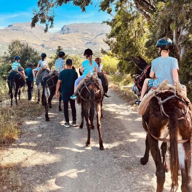 Donkey Ride - Cretan Country - Who Will Love This Tour?