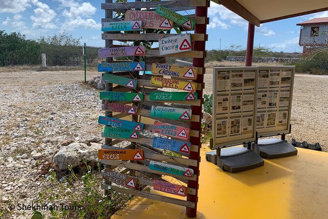 donkey-sanctuary-tour-with-a-local-guide