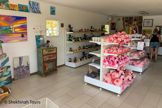 donkey-sanctuary-tour-with-a-local-guide