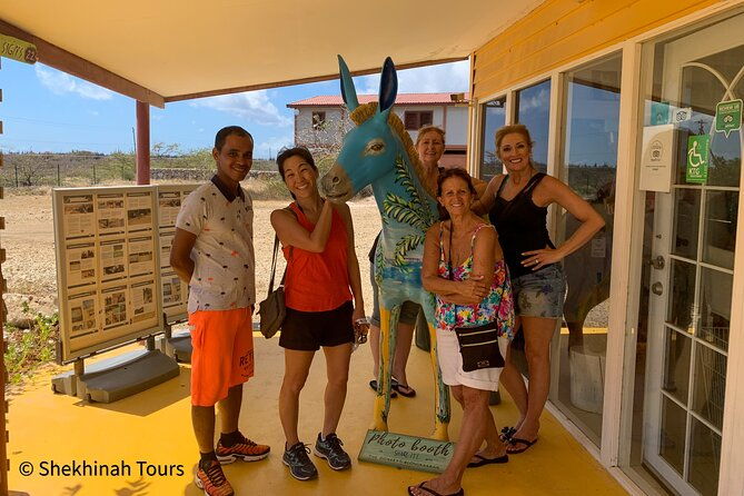 donkey-sanctuary-tour-with-a-local-guide