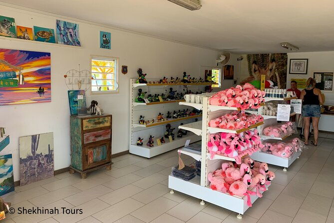 donkey-sanctuary-tour-with-a-local-guide