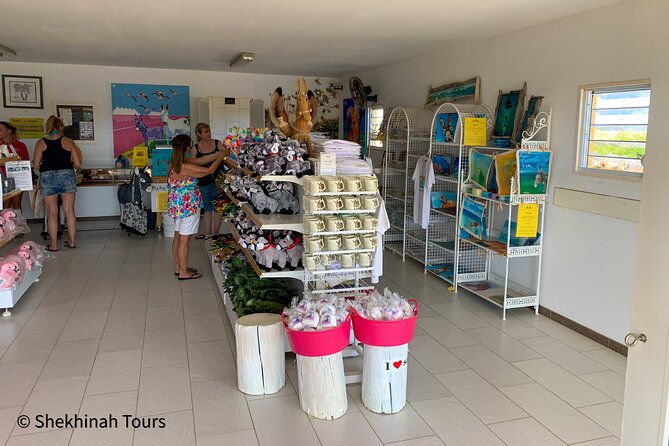 donkey-sanctuary-tour-with-a-local-guide