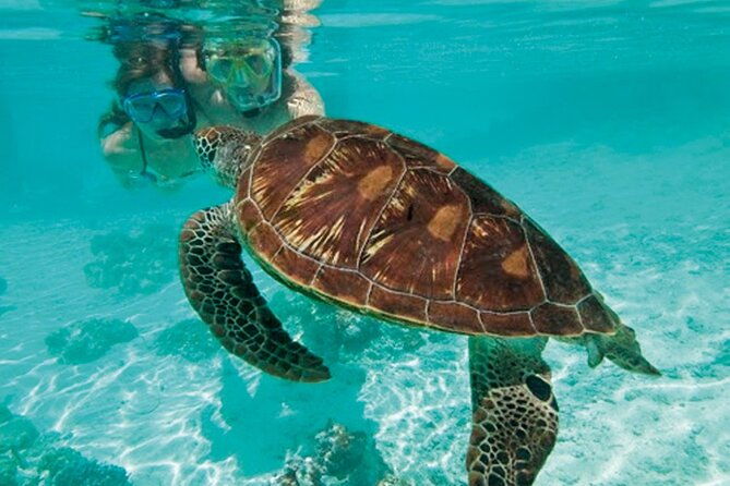 dont-worry-private-catamaran-cruise-sint-maarten-full-day-tour