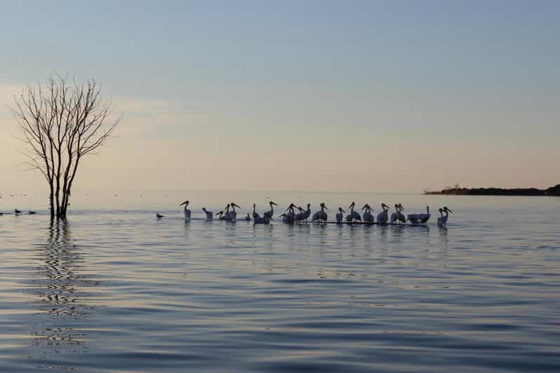 door-county-millionaires-row-west-islands-cruise