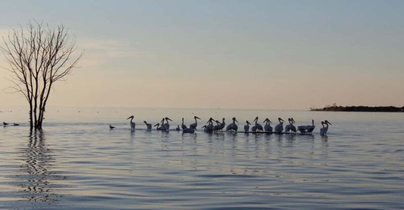 door-county-millionaires-row-west-islands-cruise