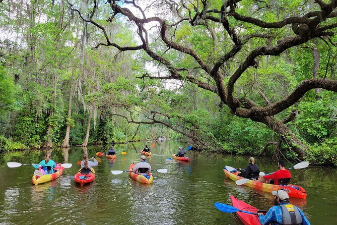 dora-canal-half-day-kayak-and-paddle-board-rental-adventure-2