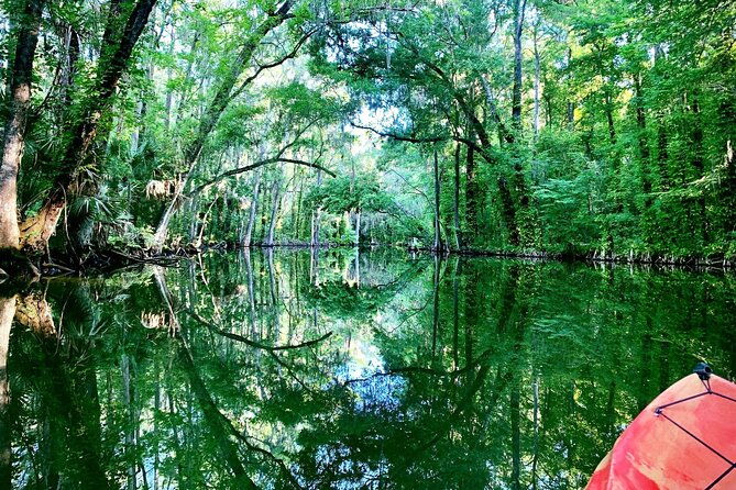 dora-canal-half-day-kayak-and-paddle-board-rental-adventure-2