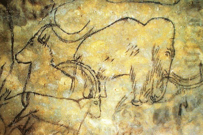 dordogne-day-tour-prehistory-and-the-art-of-the-caves-from-sarlat