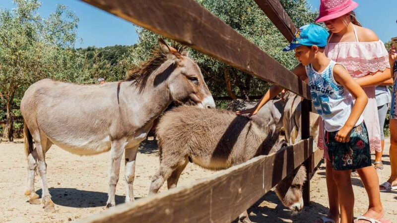 dorgali-visit-sabba-frisca-park-museum