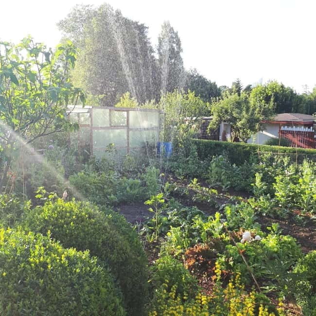 Dortmund: Allotment Garden Tour - Why This Tour Offers Value