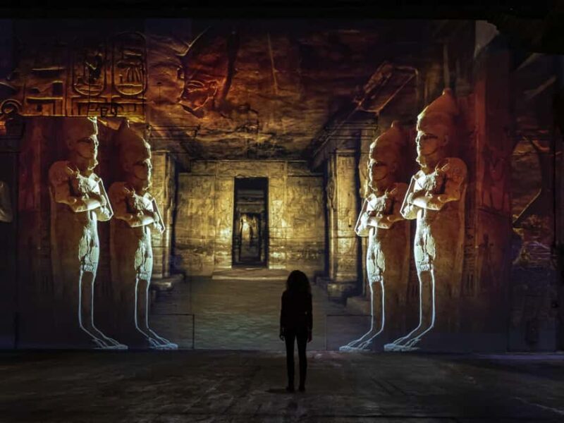 Dortmund: Phoenix of Lumières Entry Ticket - Key Points