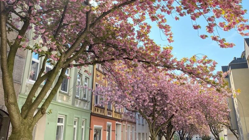 dortmund-street-art-and-foodie-self-guided-walking-tour