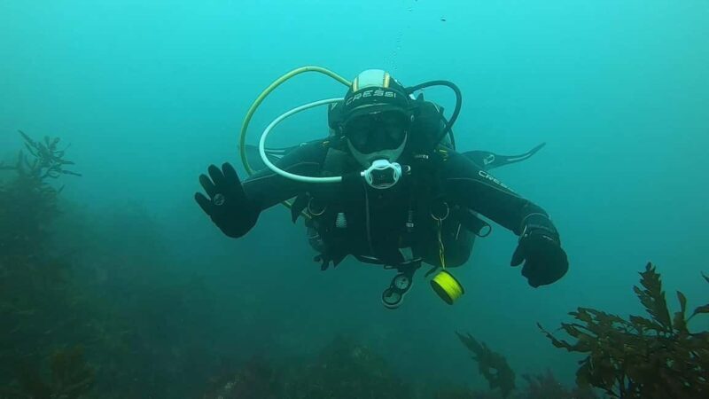 Double Boat Dive with Equipment - The Sum Up: Is This Tour Worth It?