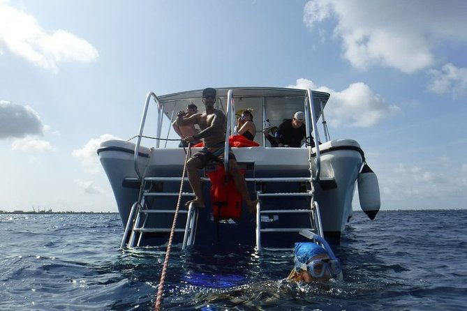 double-dip-snorkel-trip