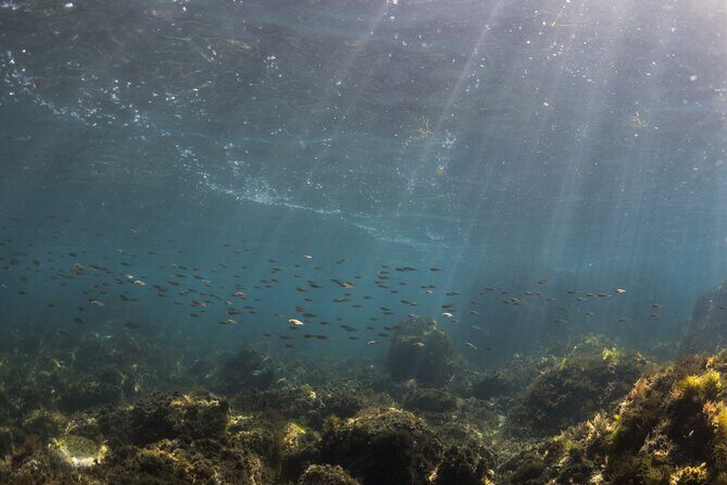 Double Discover Scuba Diving - FAQ