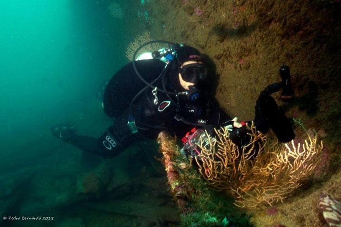 double-dive-in-cascais-go-further-and-go-under