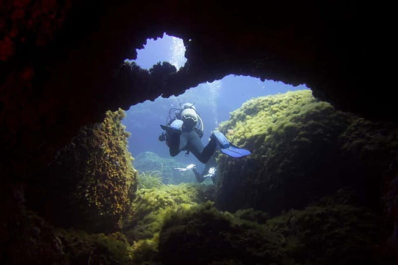 Double dive in Menorca: Discover Menorca's Marine Reserve - What to Expect from the Menorca Marine Reserve Double Dive