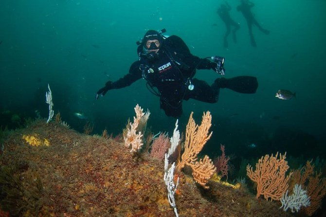 double-dive-in-the-algarve-dont-stop-on-the-beach