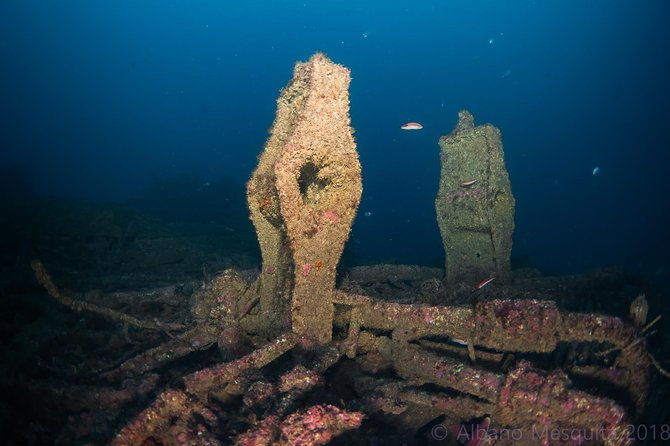 double-dive-the-fantastic-ocean-revival-park