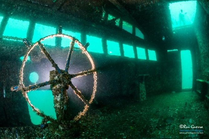 double-dive-the-fantastic-ocean-revival-park