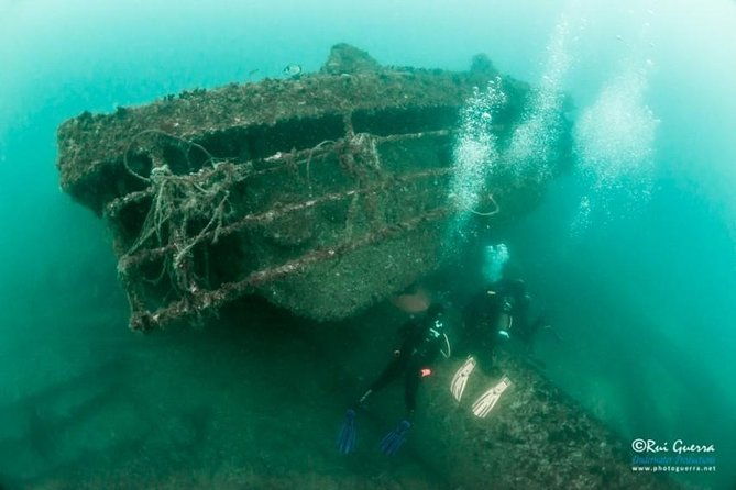 double-dive-the-fantastic-ocean-revival-park