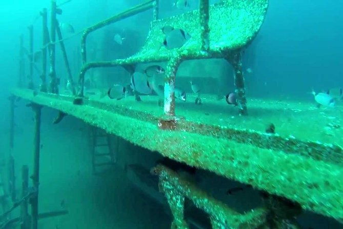double-dive-the-fantastic-ocean-revival-park