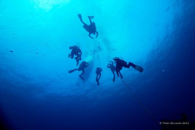 double-dive-the-fantastic-ocean-revival-park