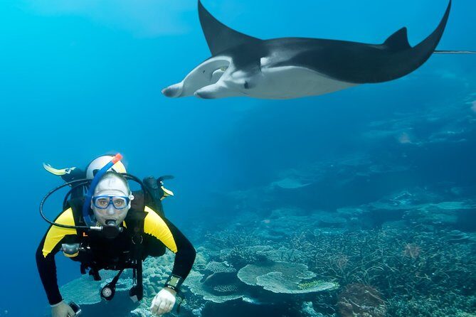 Double Diving in Sal Island - Half Day - Final Thoughts