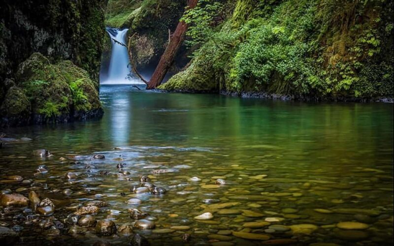 Double Safari in Jim Corbett: 2 Days of Wildlife from Delhi - Who Should Consider This Tour?